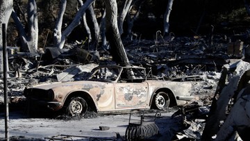 Ponad tysiąc zaginionych w pożarach lasów w Kalifornii. Liczba ofiar wrosła do 71