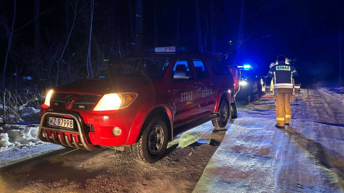 Zgubili się w lesie. Tragiczny finał zimowego spaceru