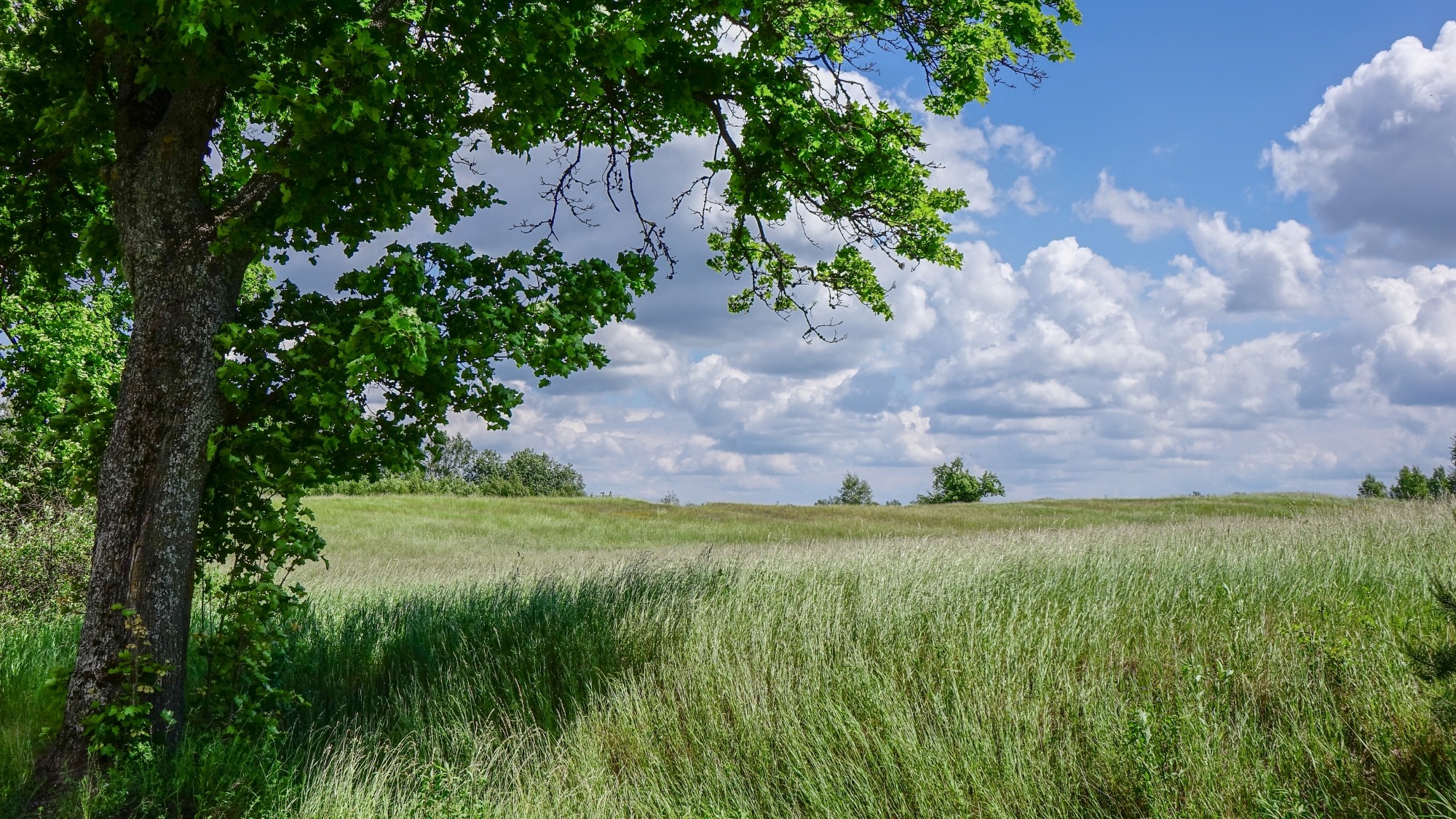 Mazury wiosną - zdjęcie 4