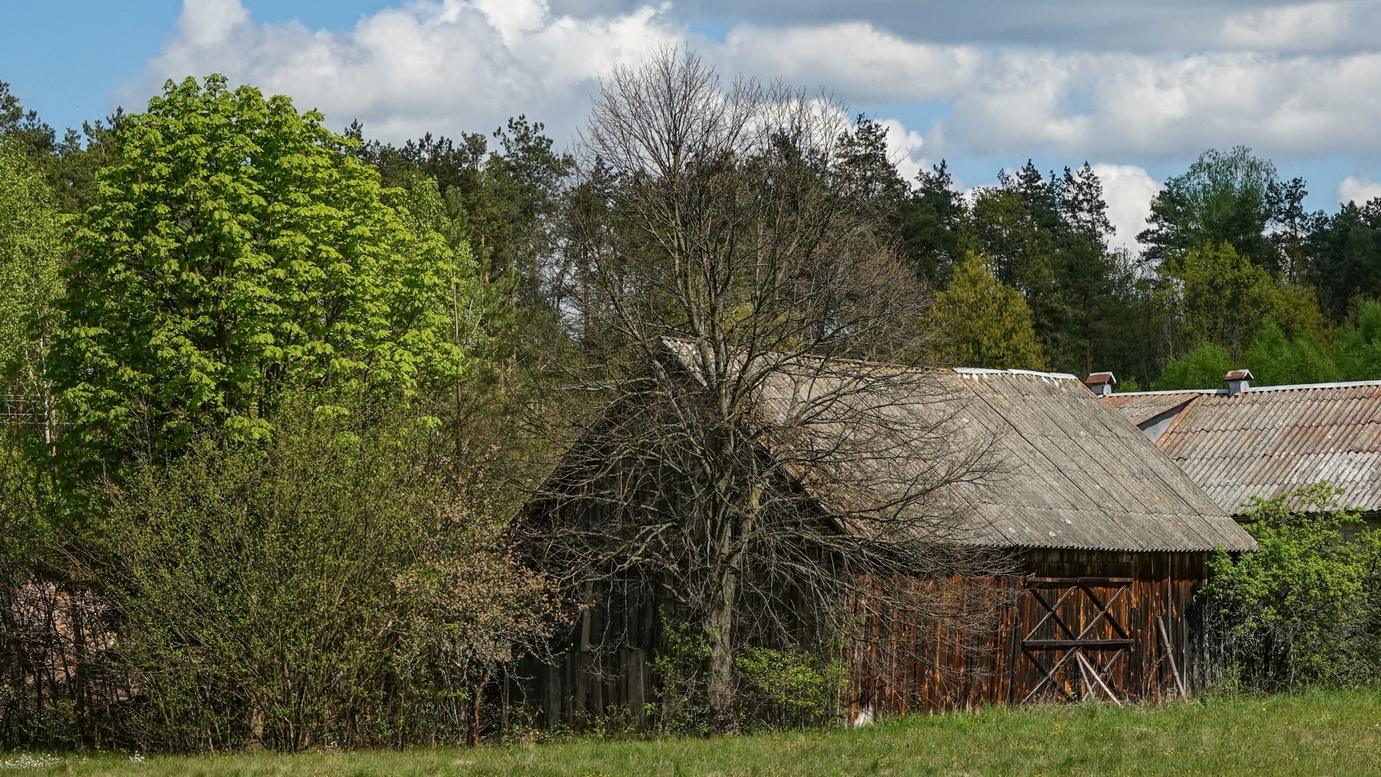 Kwiecień w obiektywie - zdjęcie 60
