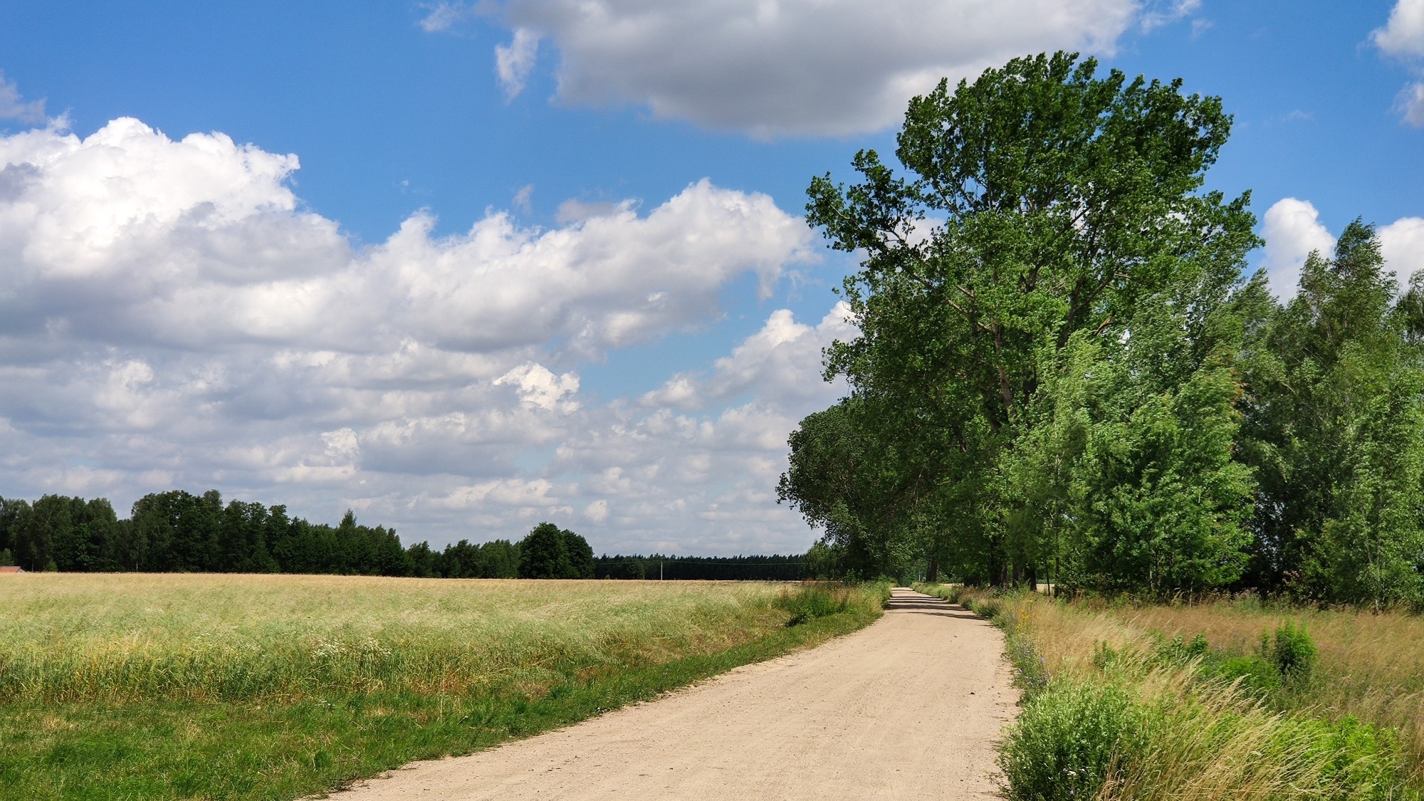 Lipiec w obiektywie - zdjęcie 25