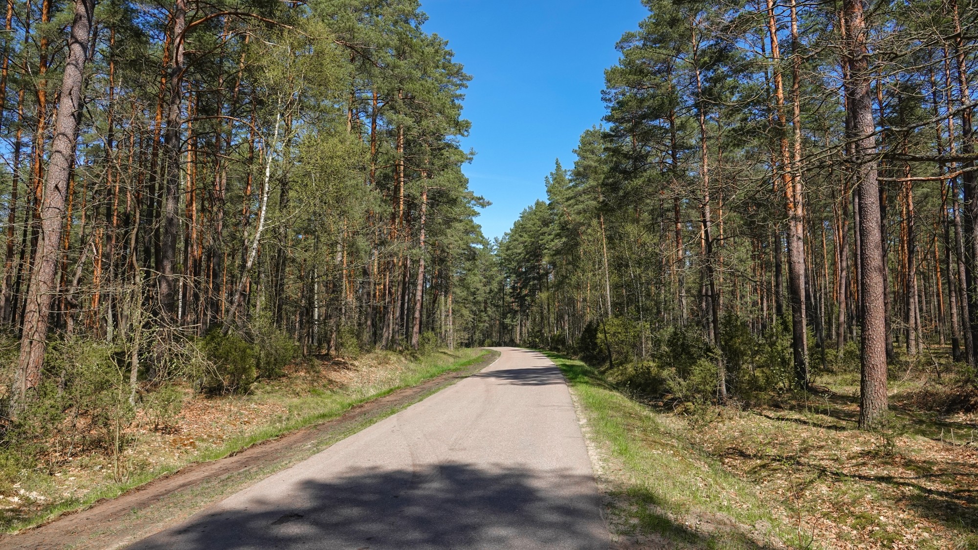 W maju jak w raju - zdjęcie 24