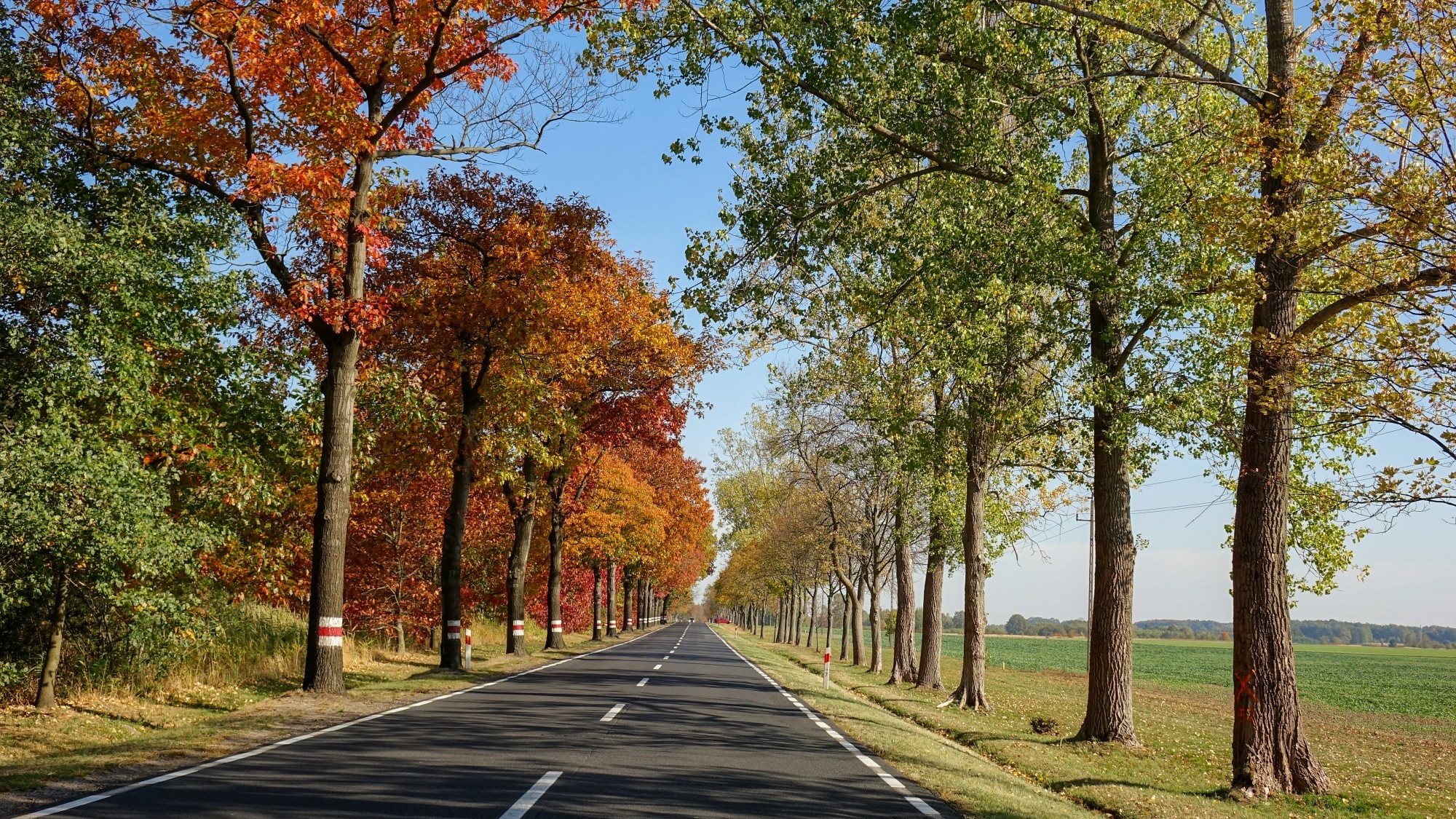 Jesień w górach, lasach i nad jeziorami - zdjęcie 11