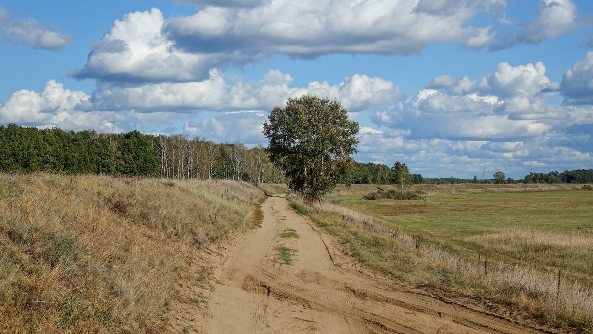 Wrzesień w obiektywie - zdjęcie 31
