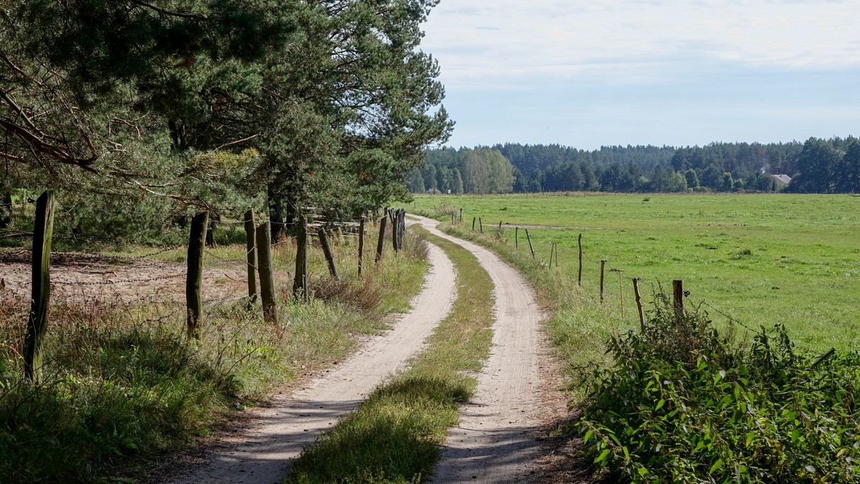 Sierpień w obiektywie - zdjęcie 13