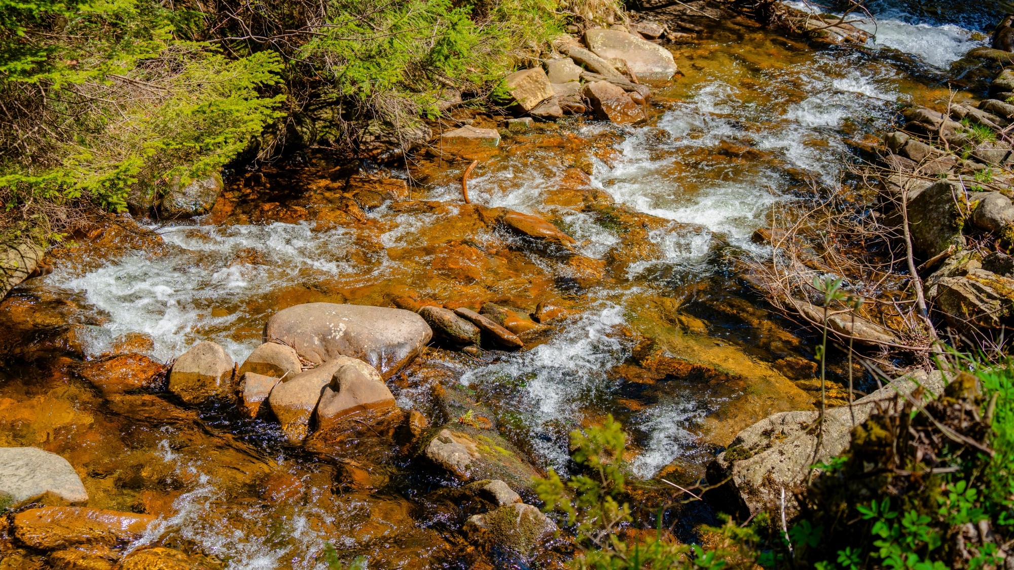 Zachwycający maj - zdjęcie 38