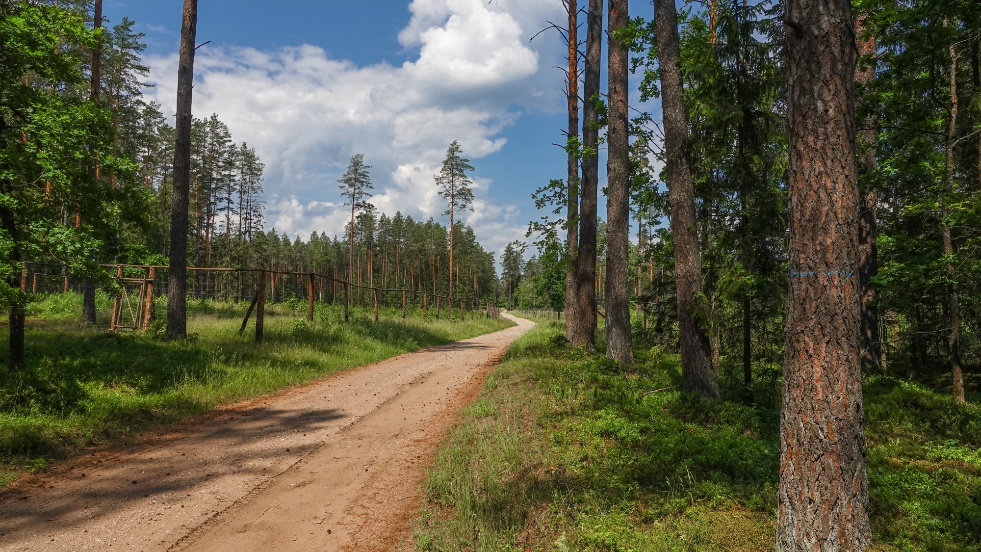 100 najpiękniejszych zdjęć 2020 roku - zdjęcie 38