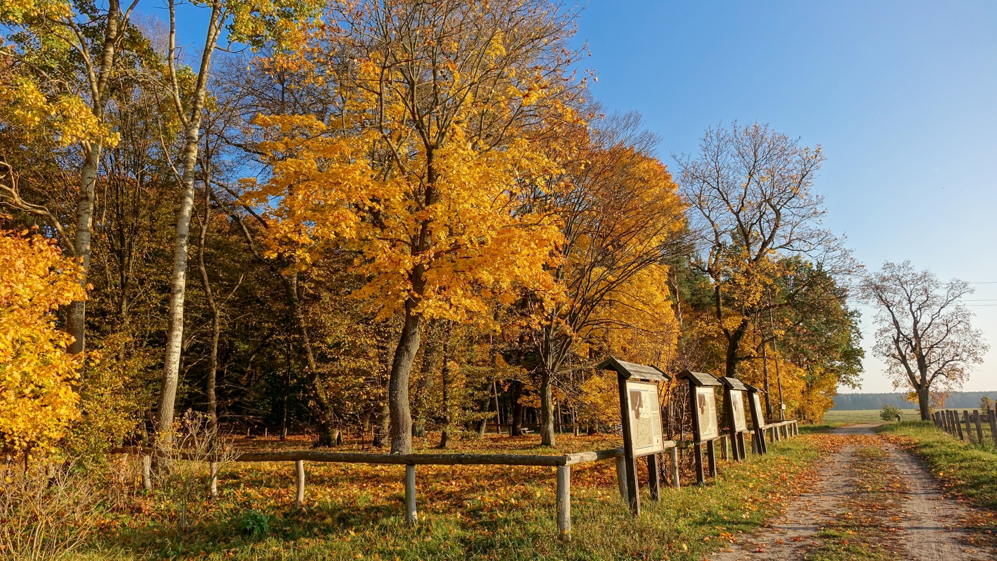 Jesień w górach, lasach i nad jeziorami - zdjęcie 38
