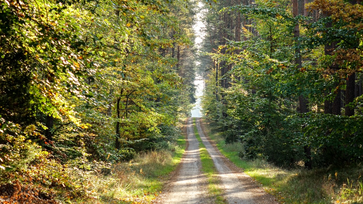 Podróż przez jesienną Polskę - zdjęcie 58