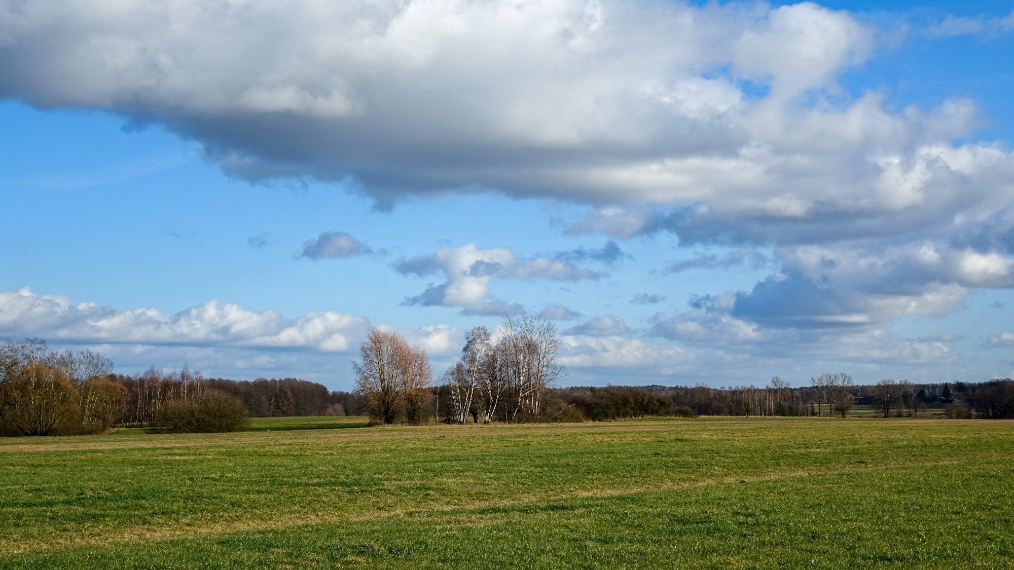 Najcieplejsza zima w historii - zdjęcie 26