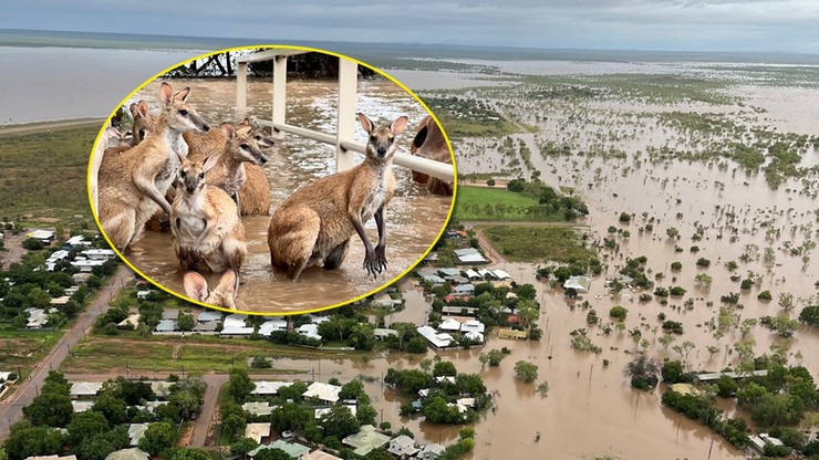 Australia: Niszczycielskie powodzie, część miejscowości odcięta od świata