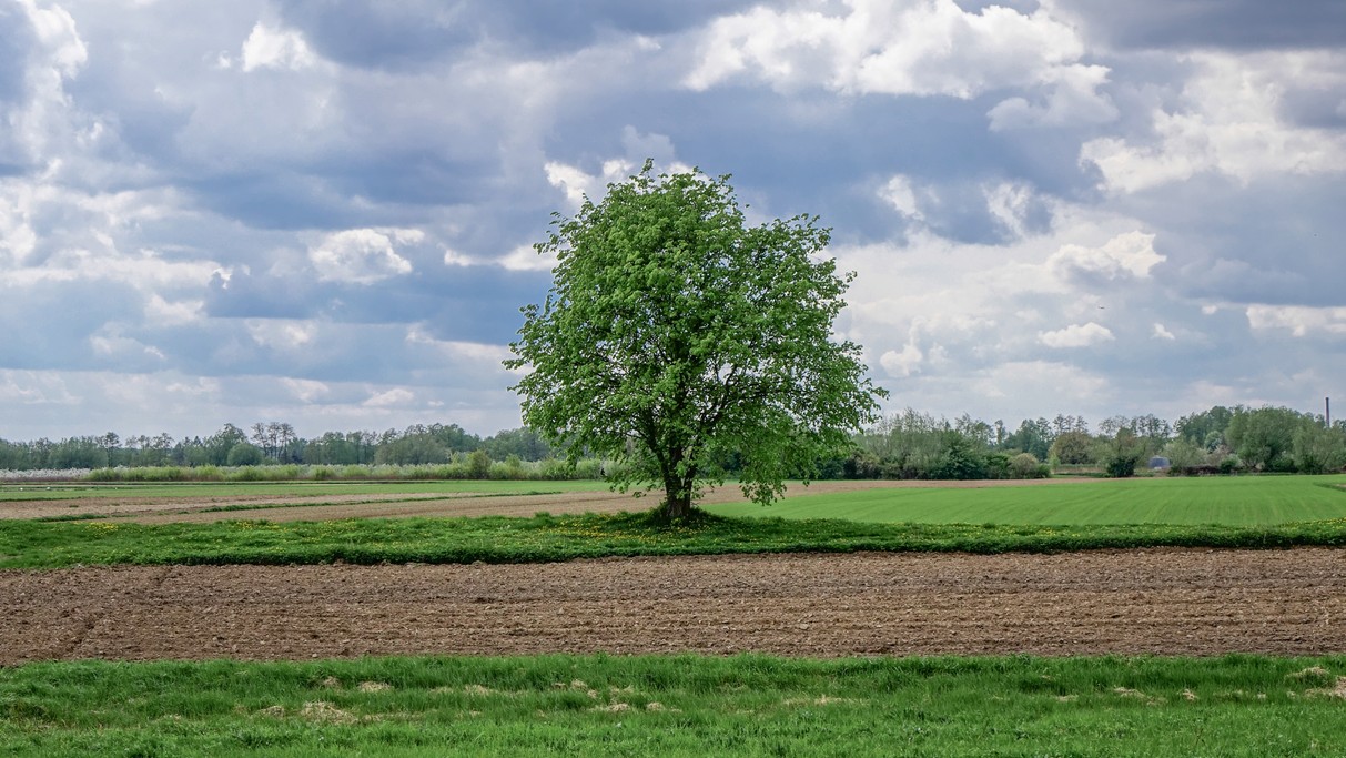 Kwiecień w obiektywie - zdjęcie 50