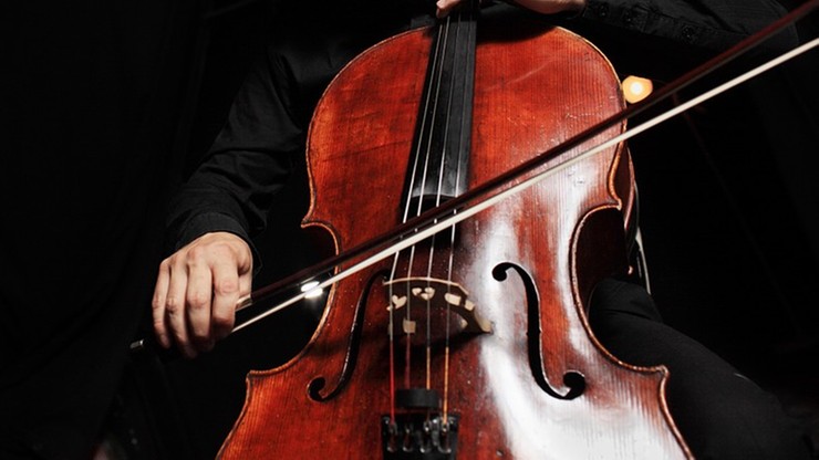 Światowej sławy wiolonczeliście odebrano struny na Lotnisku Chopina. "Wyrażam ubolewanie"