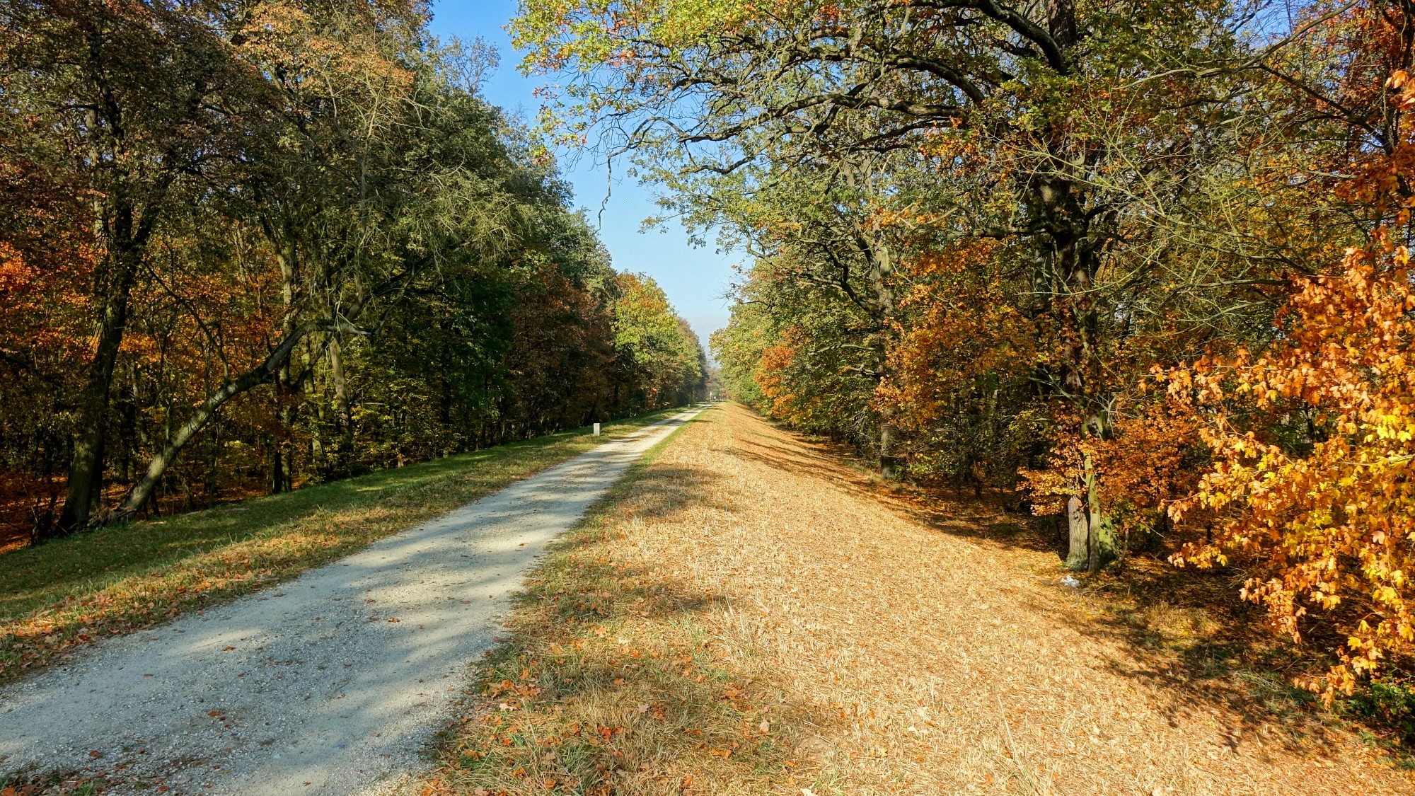 Jesień w górach, lasach i nad jeziorami - zdjęcie 40