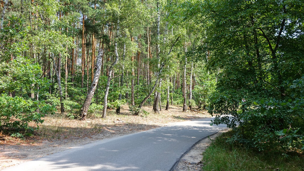 Lipiec w obiektywie - zdjęcie 54