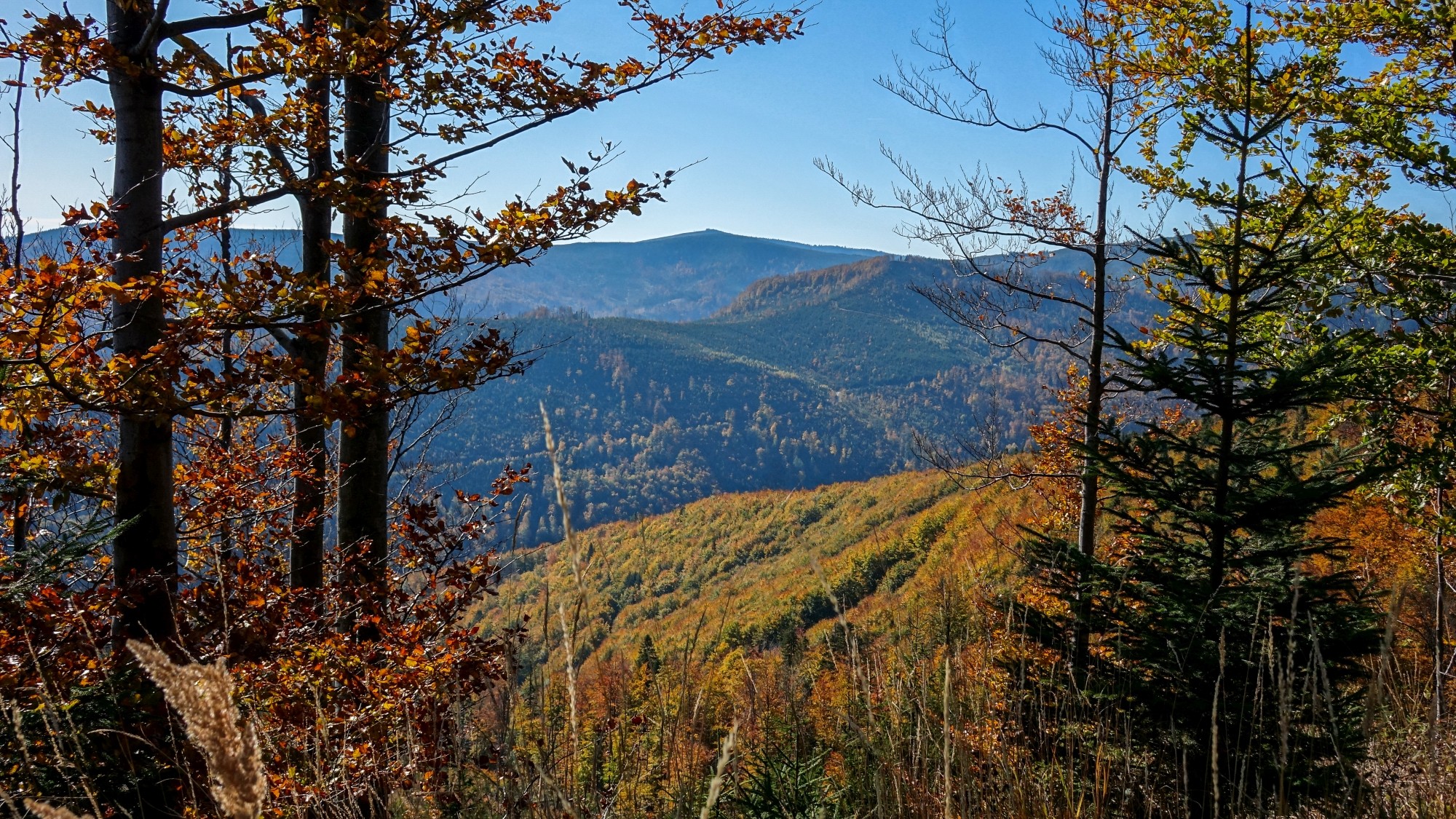 Jesień w górach, lasach i nad jeziorami - zdjęcie 15