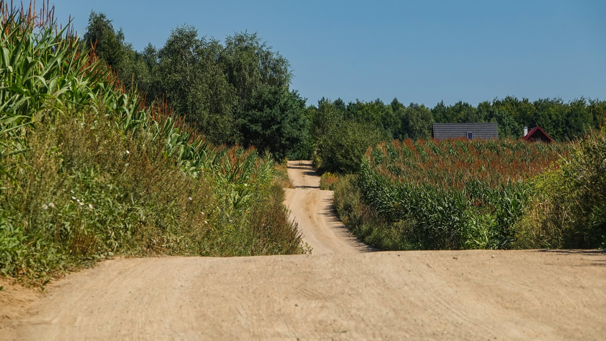 Na pożegnanie lata - zdjęcie 49