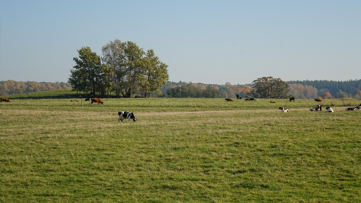 Październik w obiektywie - zdjęcie 56