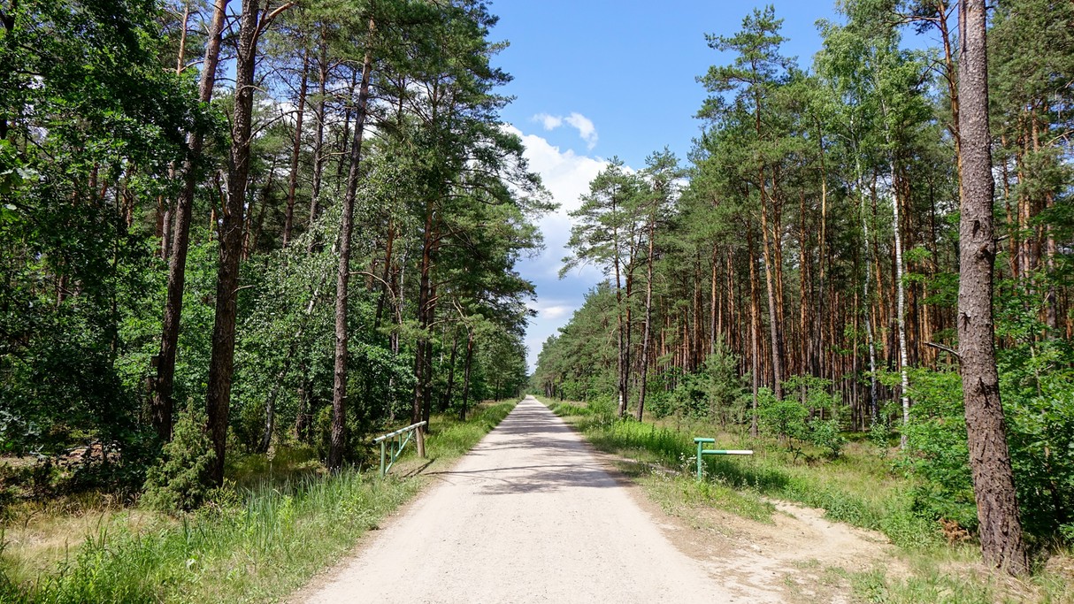 Czerwiec w obiektywie - zdjęcie 43