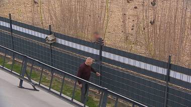 Koszmar w Rzeszowie. Uciążliwy sąsiad hoduje koguty