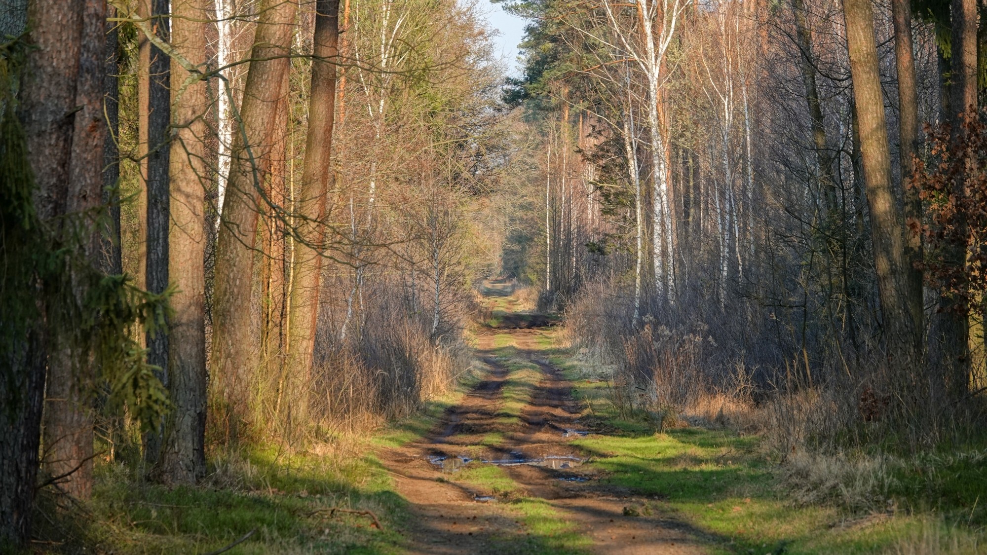 Marzec w obiektywie - zdjęcie 38