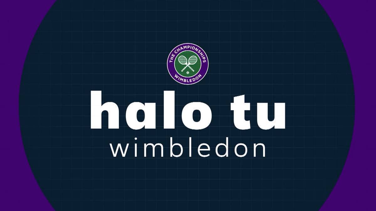 Halo tu Wimbledon: Gdzie obejrzeć? O której godzinie? Transmisja TV i stream online - 06.07