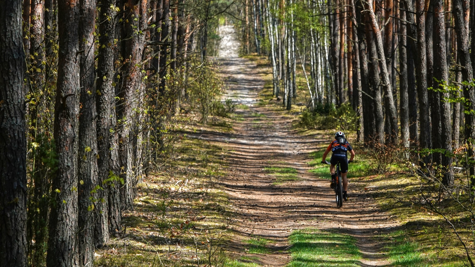 Całe piękno późnej wiosny - zdjęcie 37