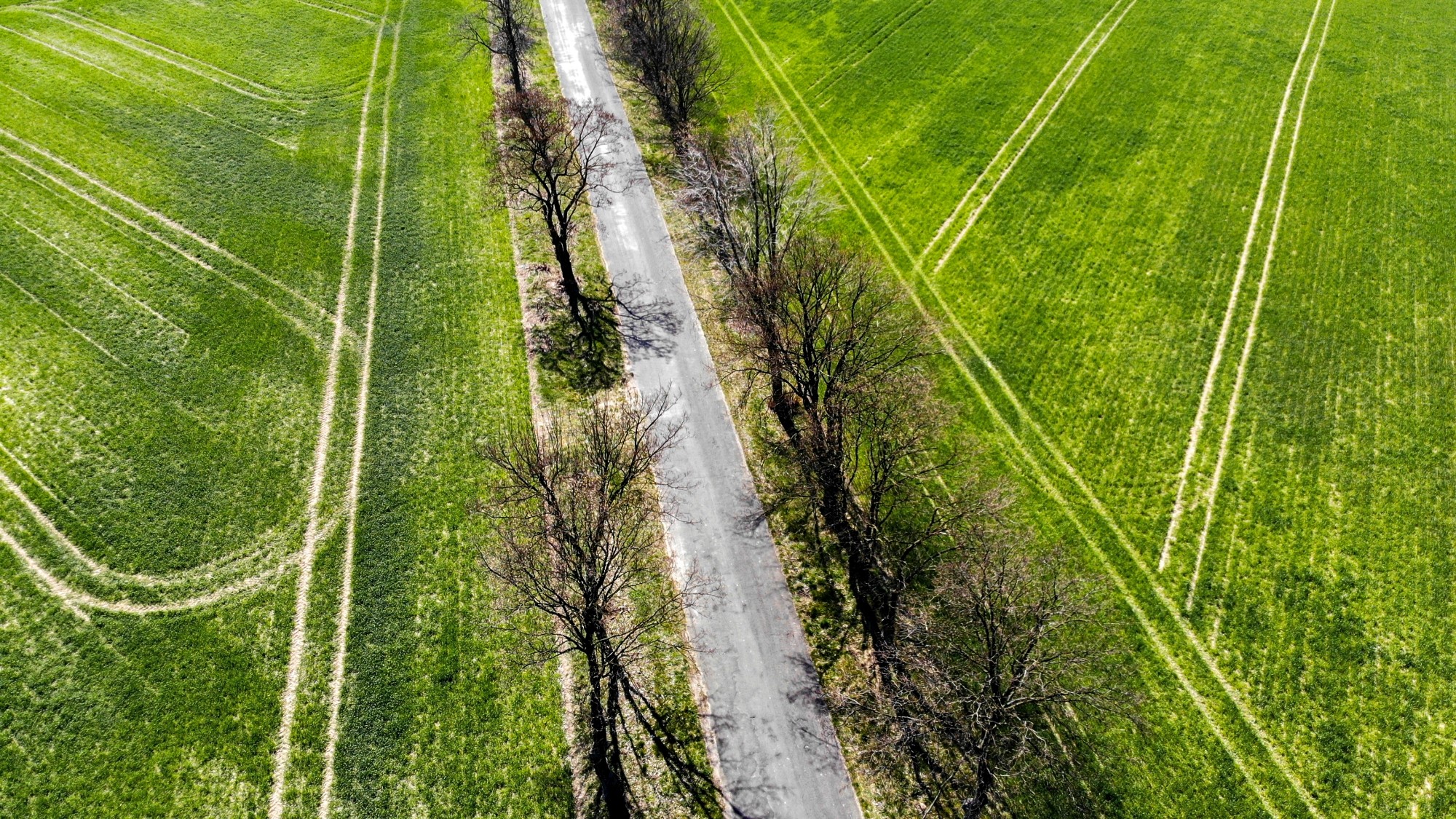 Niesamowita Polska z lotu ptaka - zdjęcie 53