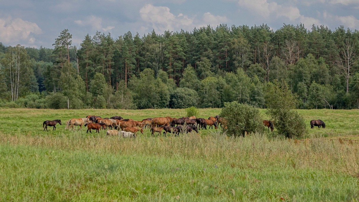 Czerwiec w obiektywie - zdjęcie 10