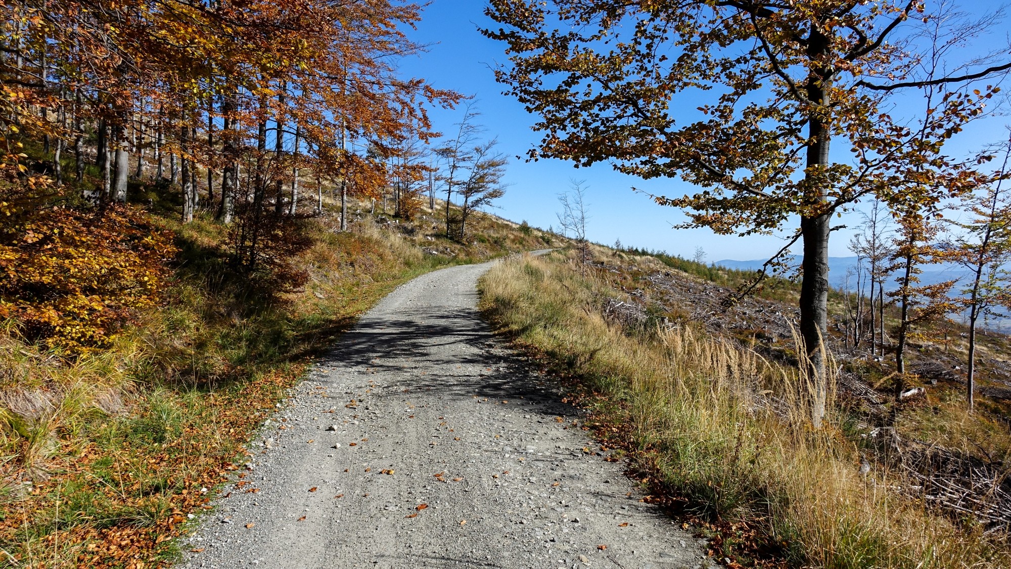 Październik w obiektywie - zdjęcie 36