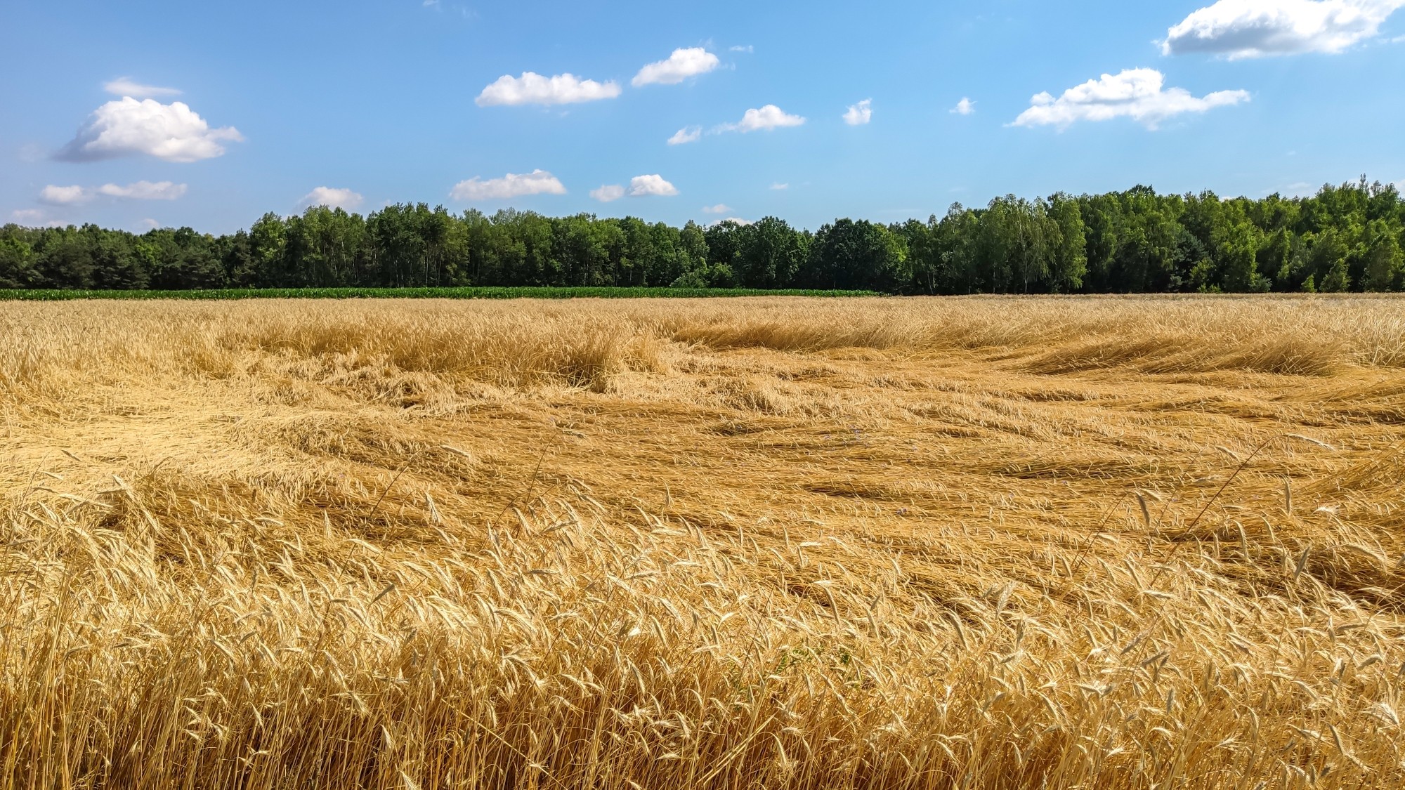 Lipiec w obiektywie - zdjęcie 39