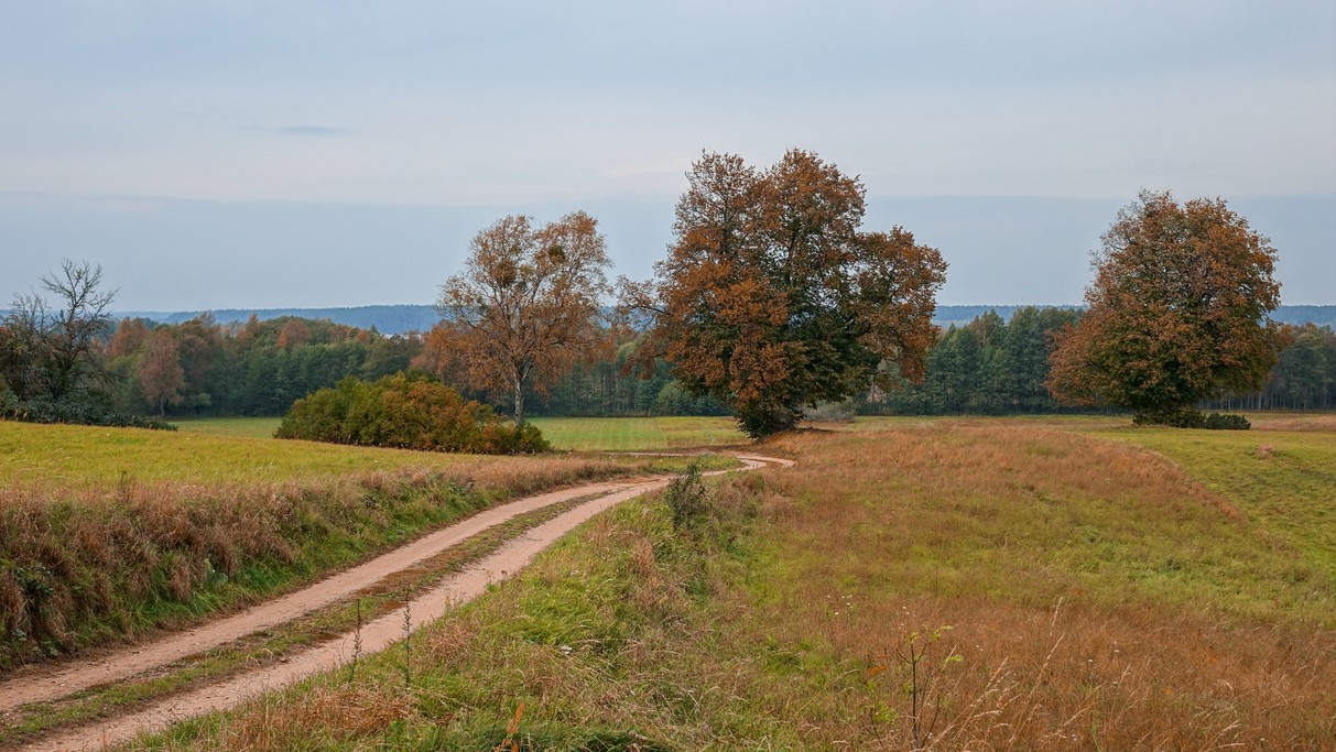 Podróż przez jesienną Polskę - zdjęcie 52