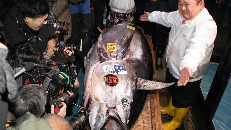 Rekordowy tuńczyk wylicytowany na aukcji w Tokio