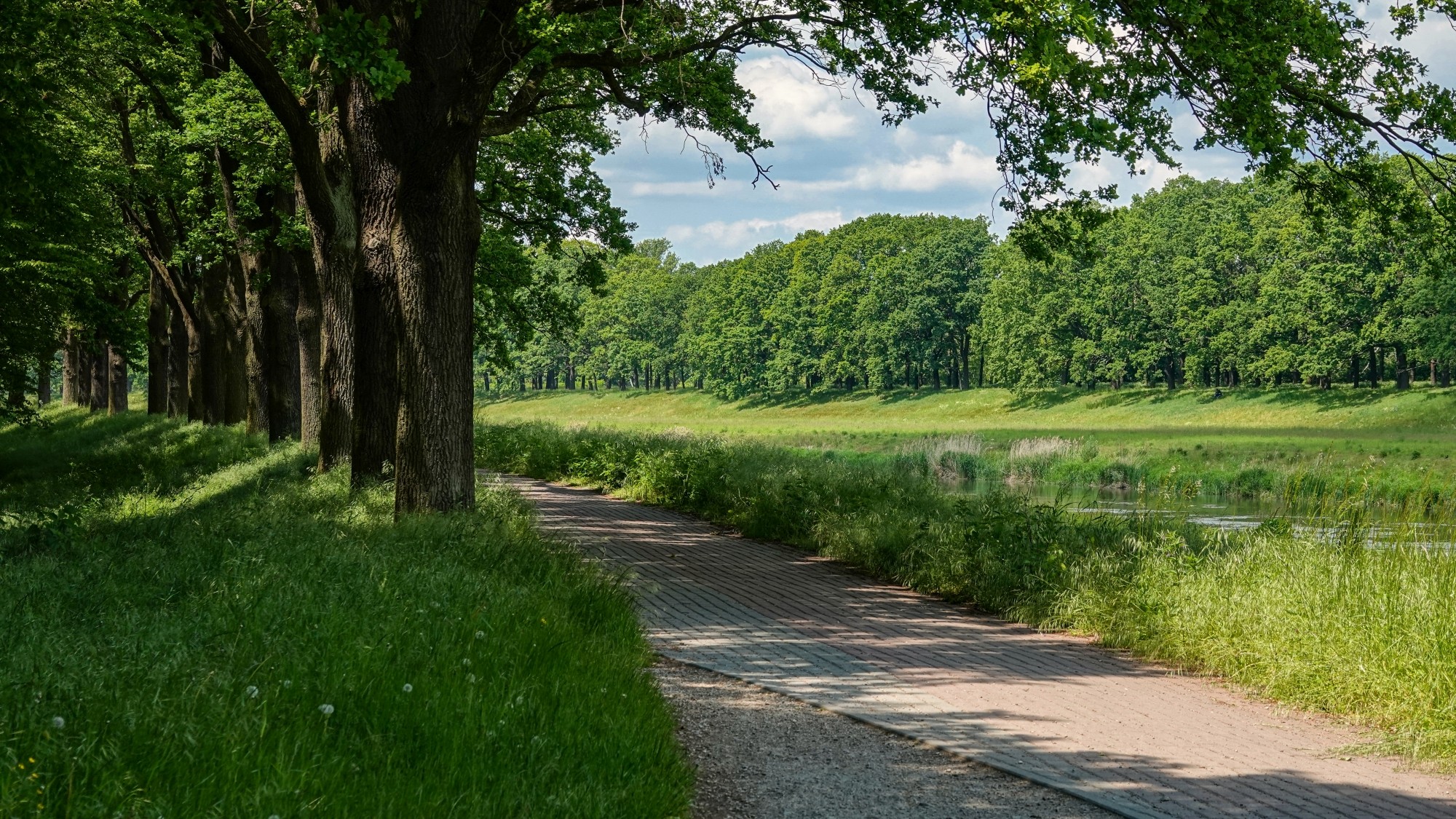100 najpiękniejszych zdjęć 2020 roku - zdjęcie 30