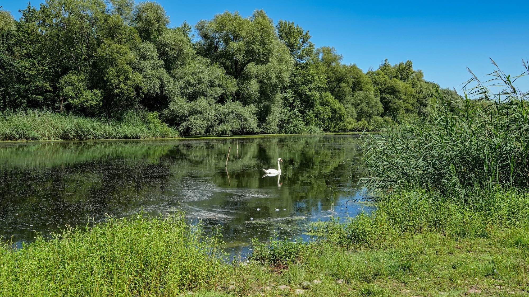 Wakacyjne podróże - zdjęcie 54
