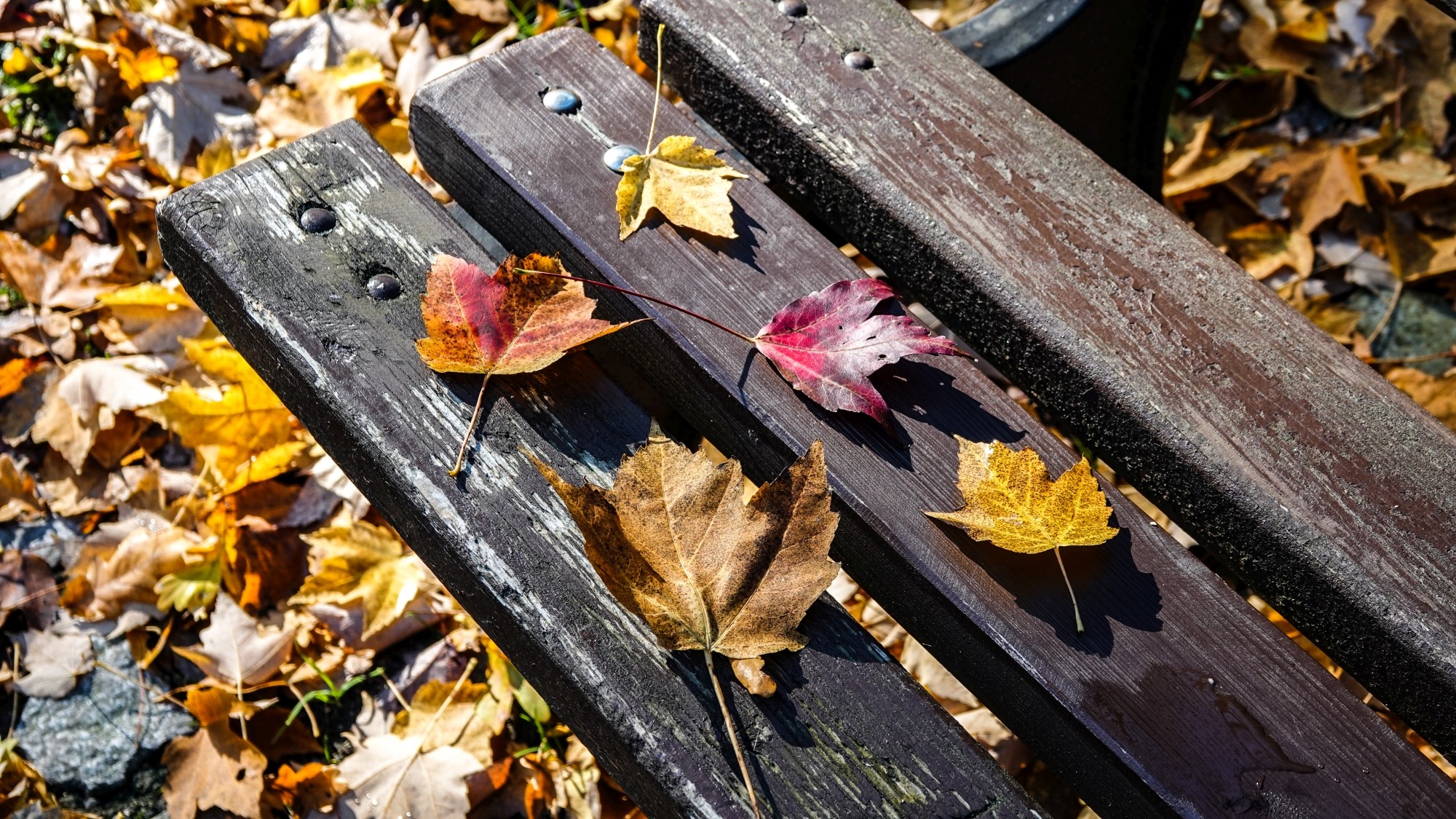 100 najpiękniejszych zdjęć 2020 roku - zdjęcie 91