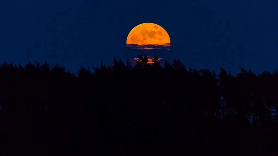 Wschodzący Księżyc w pełni. Fot. Łukasz Górski / TwojaPogoda.pl