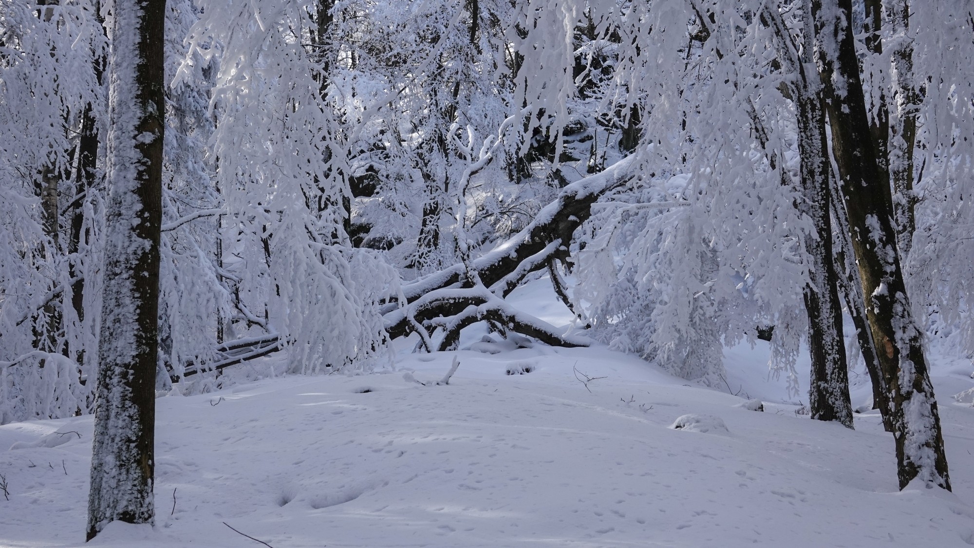 Kraina Narnii - zdjęcie 42