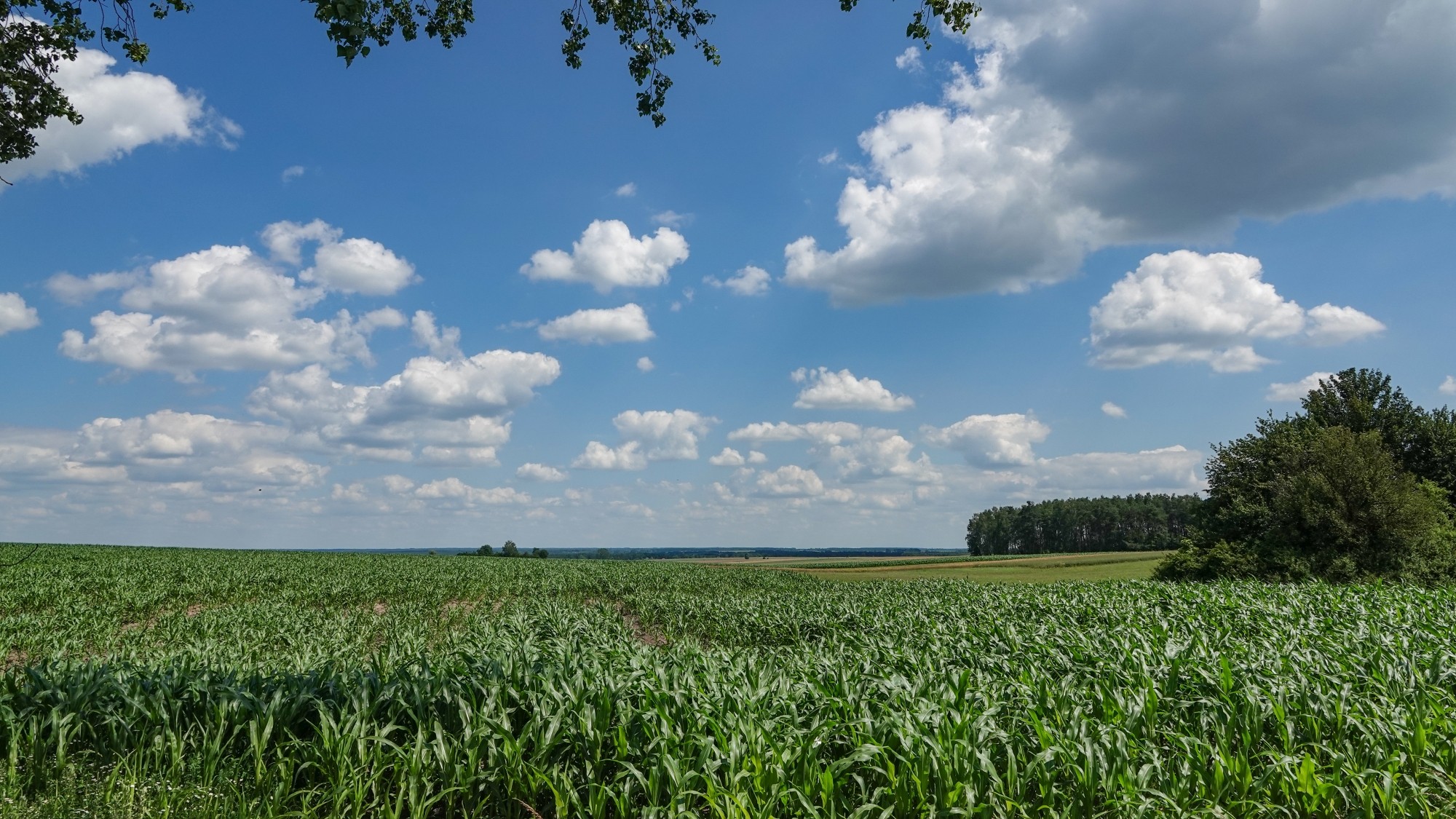 Podróż przez polską prowincję - zdjęcie 18