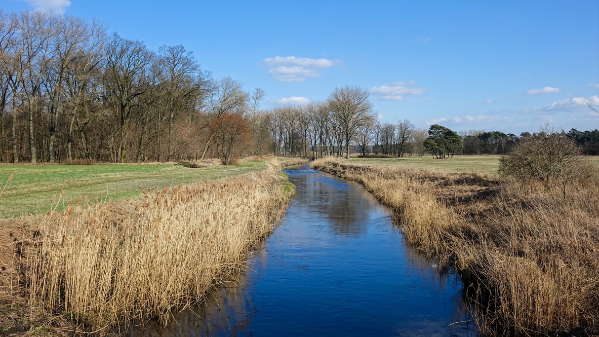 Marzec w obiektywie - zdjęcie 7