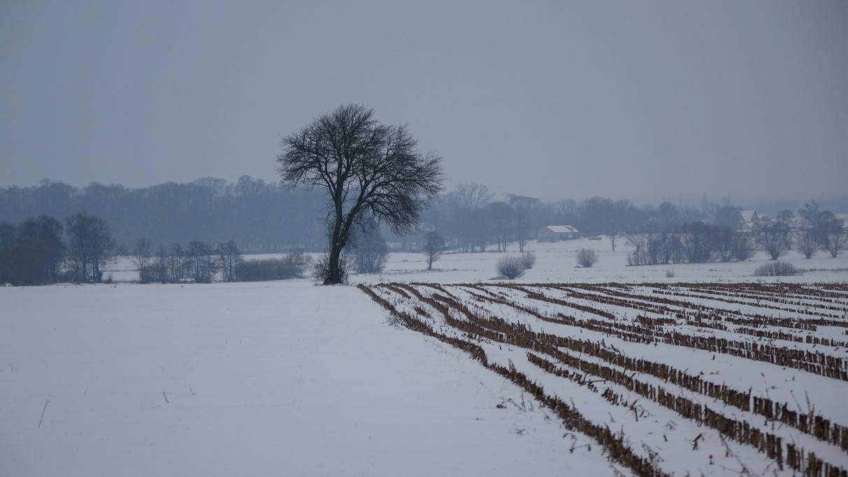 Styczeń w obiektywie - zdjęcie 69