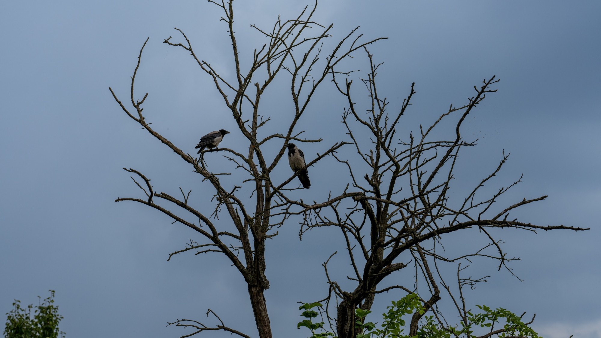 Kolory lata - zdjęcie 46
