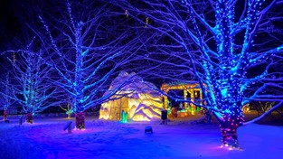 28-01-2023 05:55 Zobacz niesamowite ogrody światła, które rozświetlają mrok długich zimowych nocy