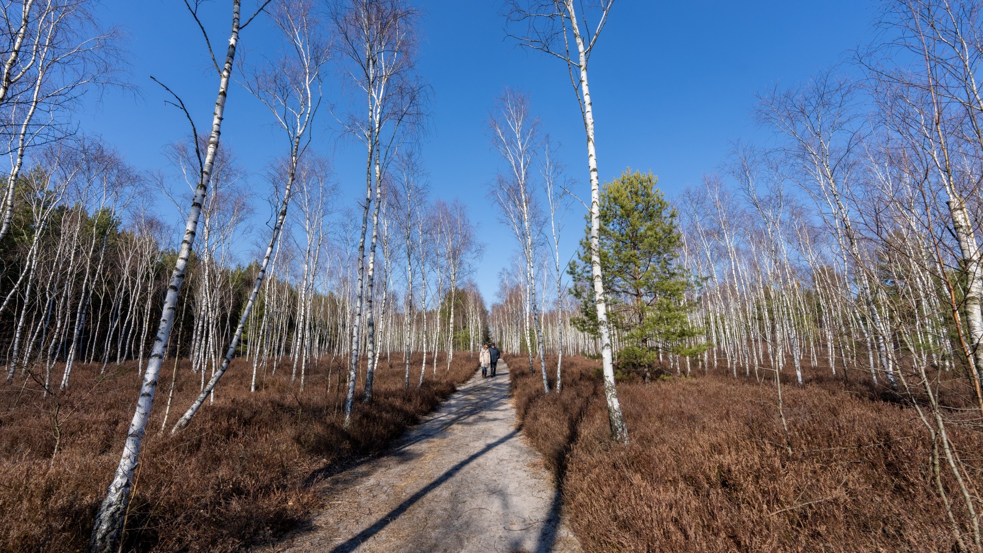 Miejska przyroda - zdjęcie 31
