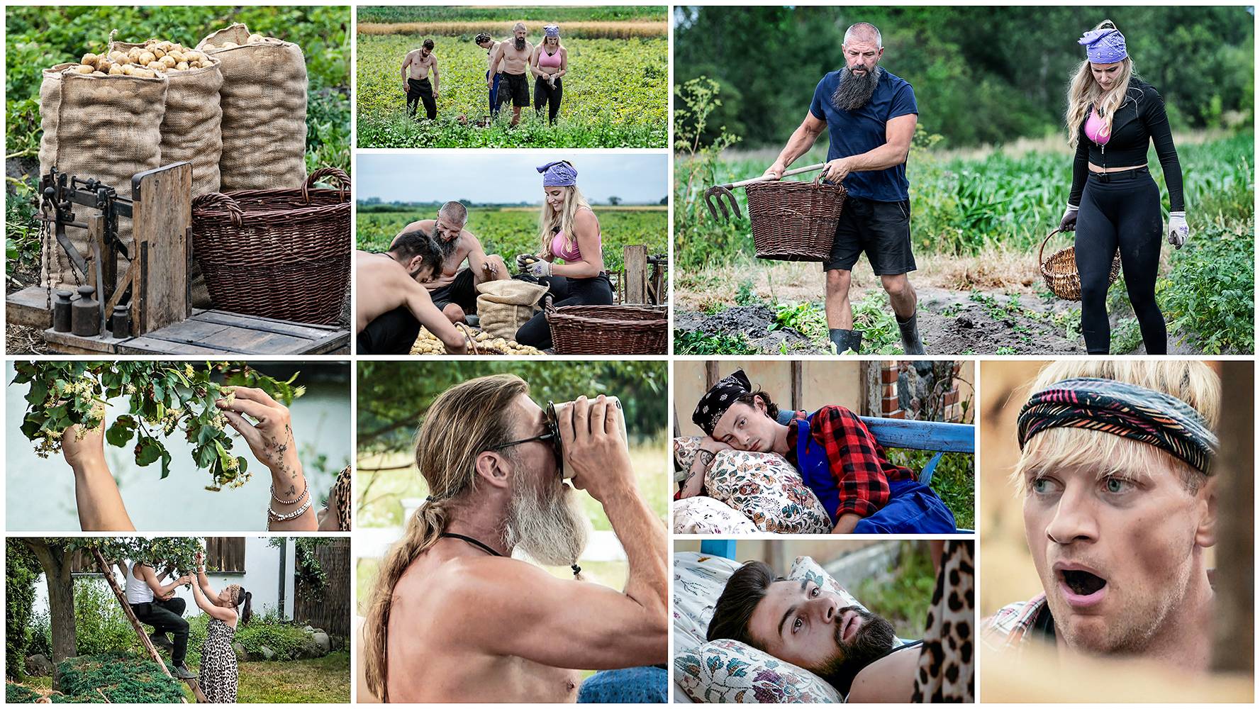 &bdquo;Farma&rdquo; - edycja 5, odcinek 27: &bdquo;Bomba&rdquo; na lipie, ekipa na fazie