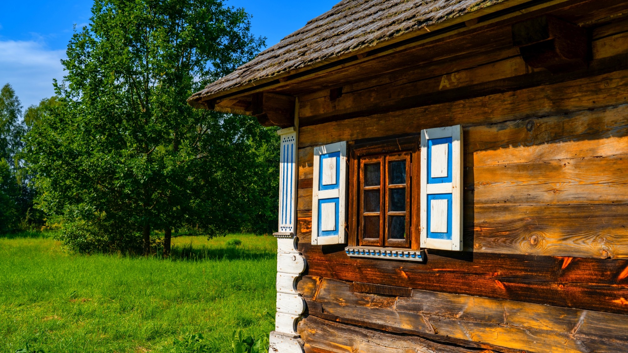 Wśród natury - zdjęcie 46