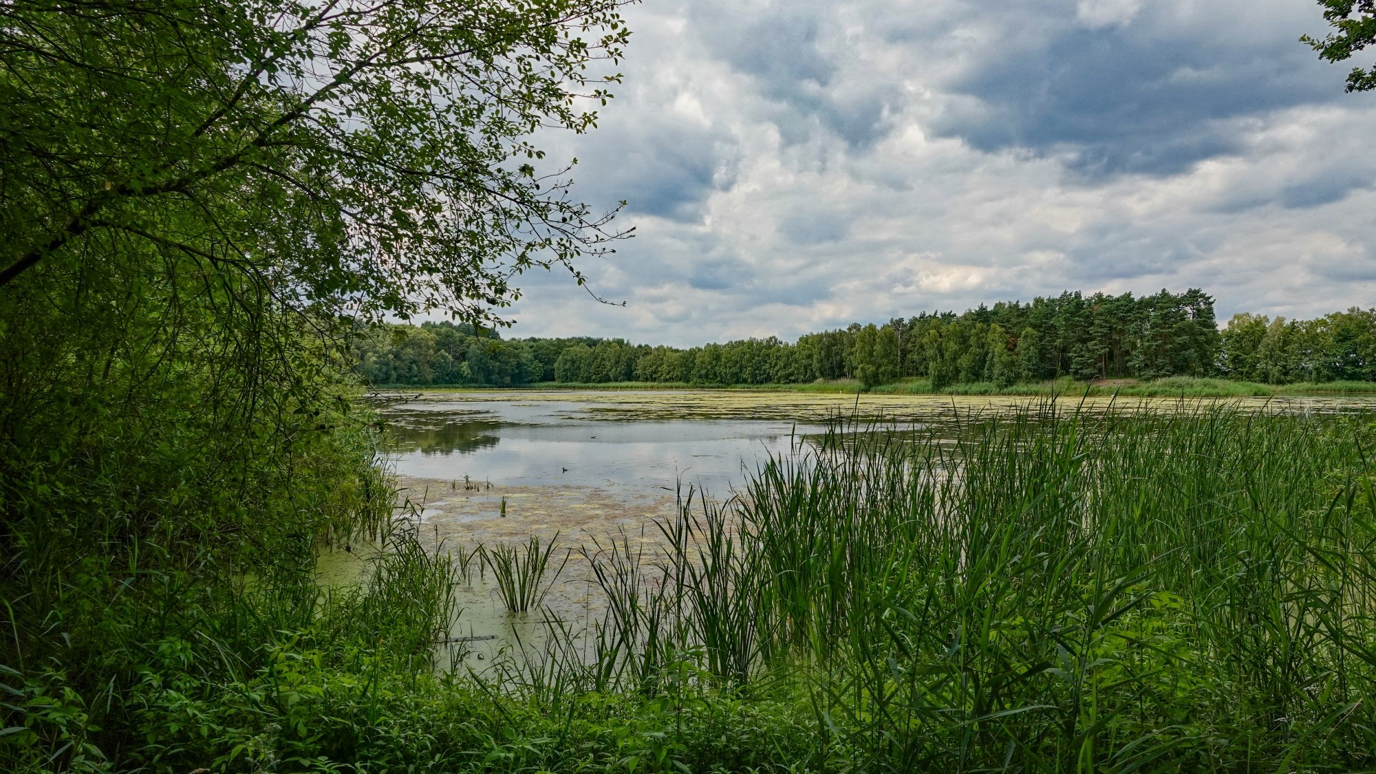Podróż przez polską prowincję - zdjęcie 46