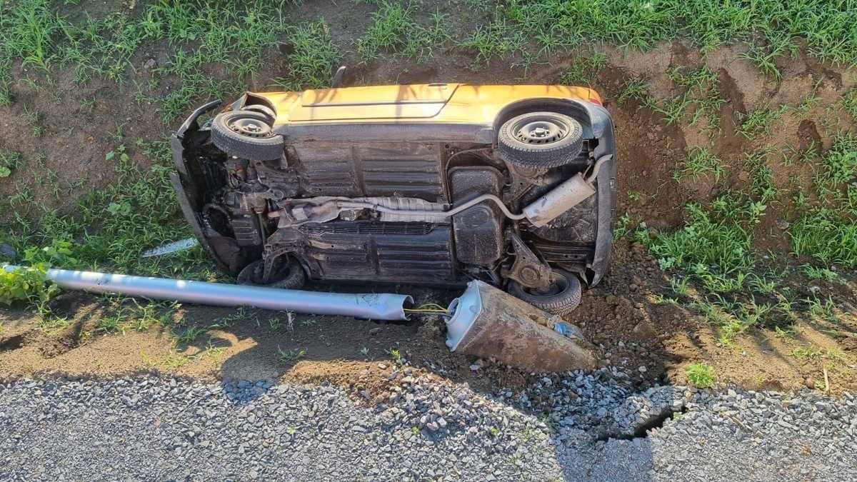 Kot nagle wskoczył kierowcy na kolana. Auto wypadło z drogi