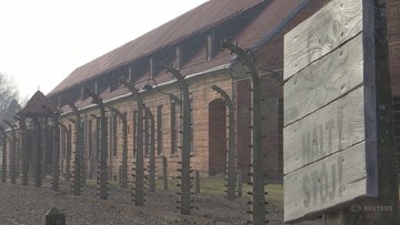"Na wolność wychodzi się przez te kominy". Wspomnienia byłych więźniów obozu Auschwitz