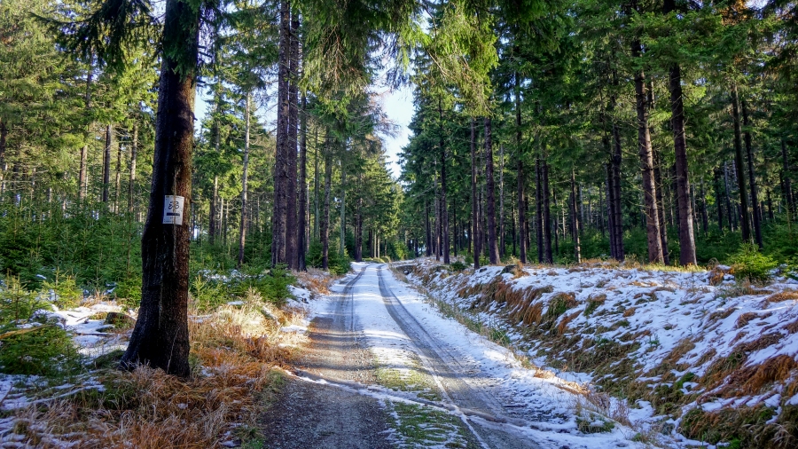 26.11.2017 00:00 Pierwszy śnieg w górach